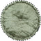 vidaXL - Poef - rond - 40x20 - cm - fluweel - groen