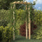 vidaXL - Tuinboog - 110x60x210 - cm - geïmpregneerd - massief - grenenhout