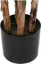 Decoratieve plant DKD Home Decor (90 x 90 x 200 cm)