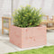 vidaXL - Plantenbak - 70x70x46 - cm - massief - douglashout