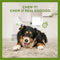 Whimzees Antler M - Kauwsnacks - Hond - 12st