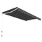 vidaXL - Luifel - handmatig - uittrekbaar - 300 - cm - antraciet