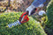 Einhell Accu Gras-/Heggenschaar GC-CG 3,6/70 Li WT 3,6 V/Li-ion - 2.0 Ah accu - Knipbreedte grasschaar: 70 mm - Snoeibreedte heggenschaar: 11 cm - Incl. lader