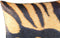PTMD Nia Vierkant Kussen Tijger - 45 x 10 x 45 cm - Velvet - Bruin