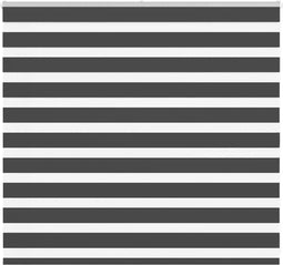 vidaXL - Zebra - rolgordijn - 155x100 - cm - stofbreedte - 150,9 - cm - zwart