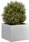 vidaXL - Plantenbak - 40x40x30 - cm - gegalvaniseerd - staal