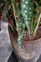 Pottery Pots Plantenpot-Plantenbak Bruin-Grijs D 46 cm H 118 cm