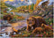 Ravensburger puzzel Wildernis - Legpuzzel - 500 stukjes