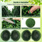 Coast Buxusbol - Kunstplant - 50 cm - Levendig groen - (2 stuks)