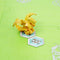 Bakugan Evolutions - Evo Battle Arena - Met unieke Leonidas Bakugan