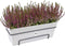 Elho Loft Urban Balkonbak Allin1 50 - Plantenbak met waterreservoir - Wit