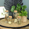 Droogbloemen in glas - Set van 4 - Gedroogde bloemendecoratie - Hoogte klein 7,5 cm en groot 12,5 cm (set van 4)