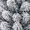 Black Box Trees Millington Kunstkerstboom - H155 cm - frosted green