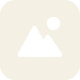 Alpina Stuurbocht 24 Mood zilver matt