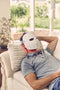Therabody TheraFace Mask - LED Gezichtsmasker - Rood Licht Therapie - Huidverzorging - Rood + Infrarood + Blauw Licht - Red Light Therapy