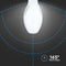 V-TAC VT-240-N - LED Bulb - 36W - 3960 Lumens - 6500K - Olive - E27 Holder - IP20