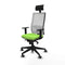 Bureaustoel Piqueras y Crespo 1D066G1 Pistache