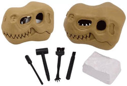 6 dino schedel uithakset