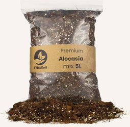 Goed & Groen - Alocasia mix 5L - Exclusieve Kwaliteit Potgrond - Planten - Voeding - Mest - Plant