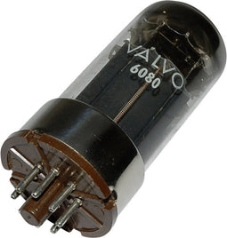 6080 = 6 A S 7 W Elektronenbuis Dubbeltriode 100 V 100 mA Aantal polen: 8 Fitting: Octal 1 stuk(s)