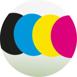 Epson 34XL - Multipack inktcartridges - DURABrite Ultra - 4 kleuren (1 pack)