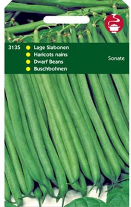 Stamslabonen Sonate
