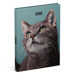 Lannoo My Favourite Friends Agenda - Agenda 2026 - 110x150mm - Poes Blauw