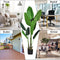 Coast Kunstmatige Tropische Palmboom - 160 cm - Decoratieve Binnenplant - Zwarte Pot
