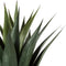 Atmosphera Kunstplant - Agave - H78cm
