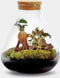 Erlenmeyer M Bonsai