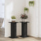 vidaXL - Plantenstandaards - 2 - st - 30x30x60 - cm - bewerkt - hout - zwart