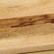 vidaXL - Tv-meubel - 120x30x45 - cm - massief - mangohout