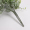 Mica Decorations Eucalyptus - Kunst Hangplant - Onderhoudsvrij - Groen