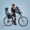 Thule Yepp 2 mini - Fietszitje - 5-punts veiligheidsharnas - Fennel tan