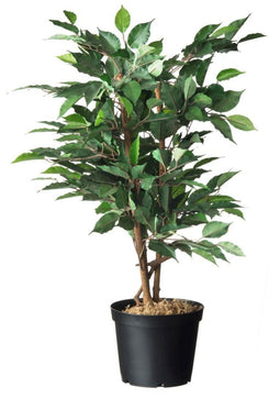 Nature Container Zwart - Kweekbenodigdheden - Ø19x15 cm