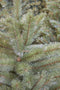 Triumph Tree Forest Frosted Kunstkerstboom - H120 x Ø99 cm - Groen