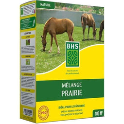 Gazon - BHS - Meadow Mix 1kg | 40m² | Voor grote oppervlakken en weilanden | Snel te installeren,...