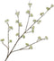 Silk-ka Kunstbloem-Zijden Bloem Dille Tak Crème Lime Groen 115 cm