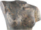 PTMD Sculpy Torso Vrouw Beeld - 41 x 23 x 81 cm - Cement - Goud