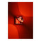 Paul Neuhaus Q-mia Wandlamp