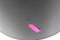 Brabantia Touch Bin Prullenbak - 30 liter - Soft-Touch sluiting - Matt Black
