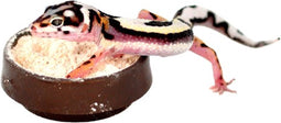 Habistat Aquadistri calci dish