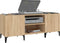 vidaXL - Platenkast - 121x38x48 - cm - bewerkt - hout - sonoma - eikenkleurig