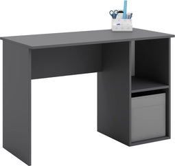 TAKO - Bureautafel - met opberging - 120x55x80cm - grijs