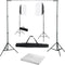 vidaXL - Fotostudioset - met - softboxlampen - en - achtergrond