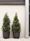 Capi Europe - Bloempot bol Row NL - 43x41 - Zwart - Opening Ø35 - Bloempot voor binnen en buiten - Levenslang garantie - Breukbestendig - 100% Recyclebaar - CO2 Neutraal geproduceerd - KBLRO933