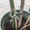 Gardlov Plantklemmen - 108 stuks