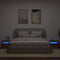 vidaXL - Nachtkastjes - 2 - st - met - LED's - 60x35x40 - cm - oud - houtkleurig