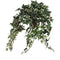 Mica Decorations Hedera - Kunstplant in keramieken pot - L45 x B25 x H25 cm - Groen