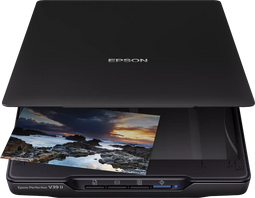 Epson Perfection V39II - Scanner - 4800 dpi - A4